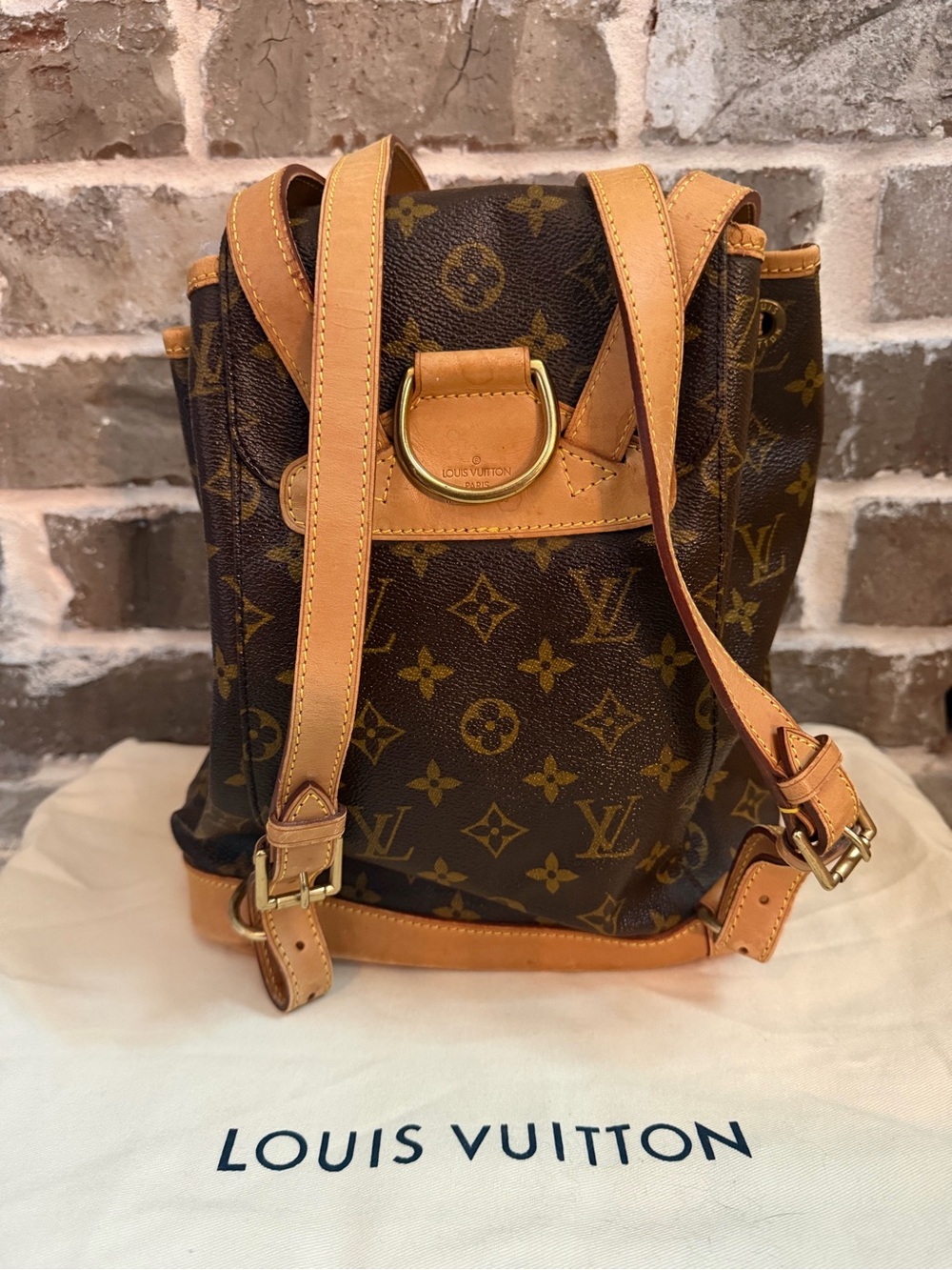 Louis Vuitton Montsouris MM backpack - Picture 2 of 11